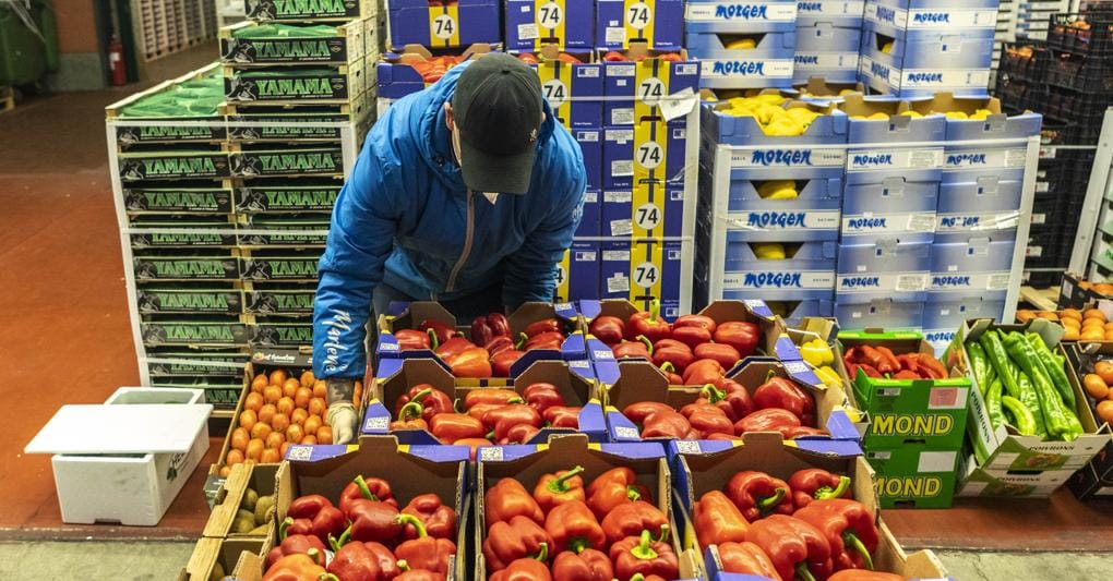 Ortofrutta ecco come le piccole e medie aziende conquistano i mercati esteri Il Sole 24 ORE